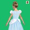 Kids Classic Disney Cinderella Princess Costume with Cameo and Peplum